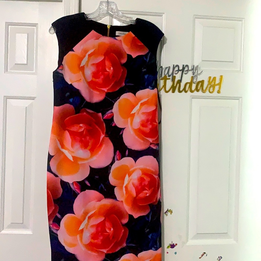 Size 8 Calvin Klein dress.